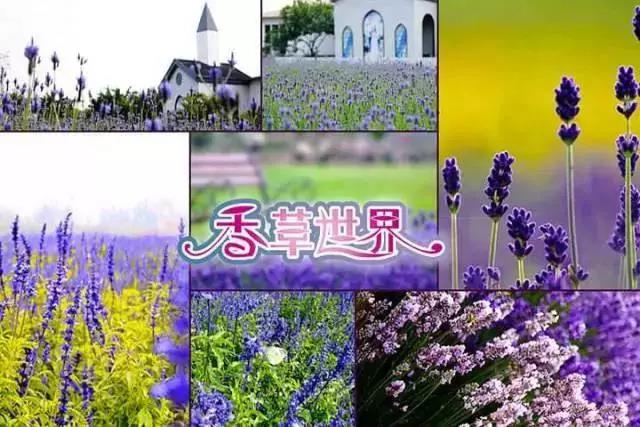 微信图片_20180914094104