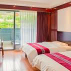 新丰花竹泉观山温泉房/ 竹韵温泉房 /临溪温泉 双床房